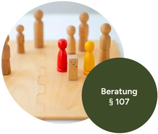 Angebot: Beratung § 107
